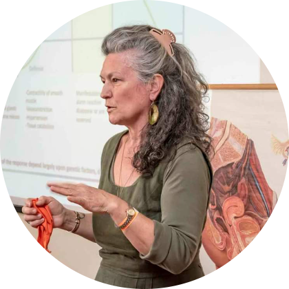 dr. Skultéti Judit